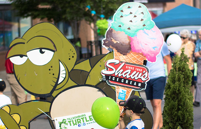 Turtlefest
