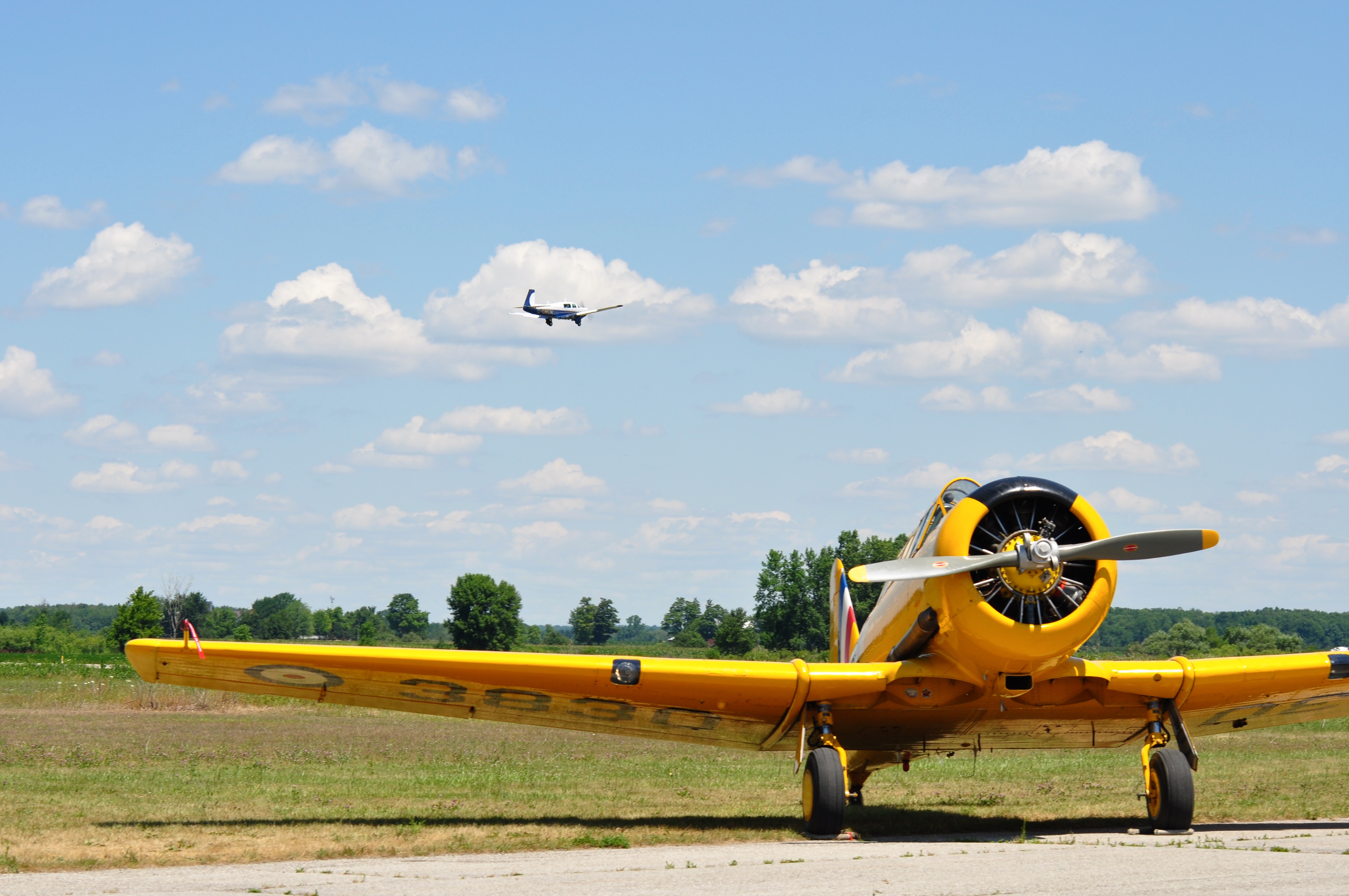 Wings and Wheels