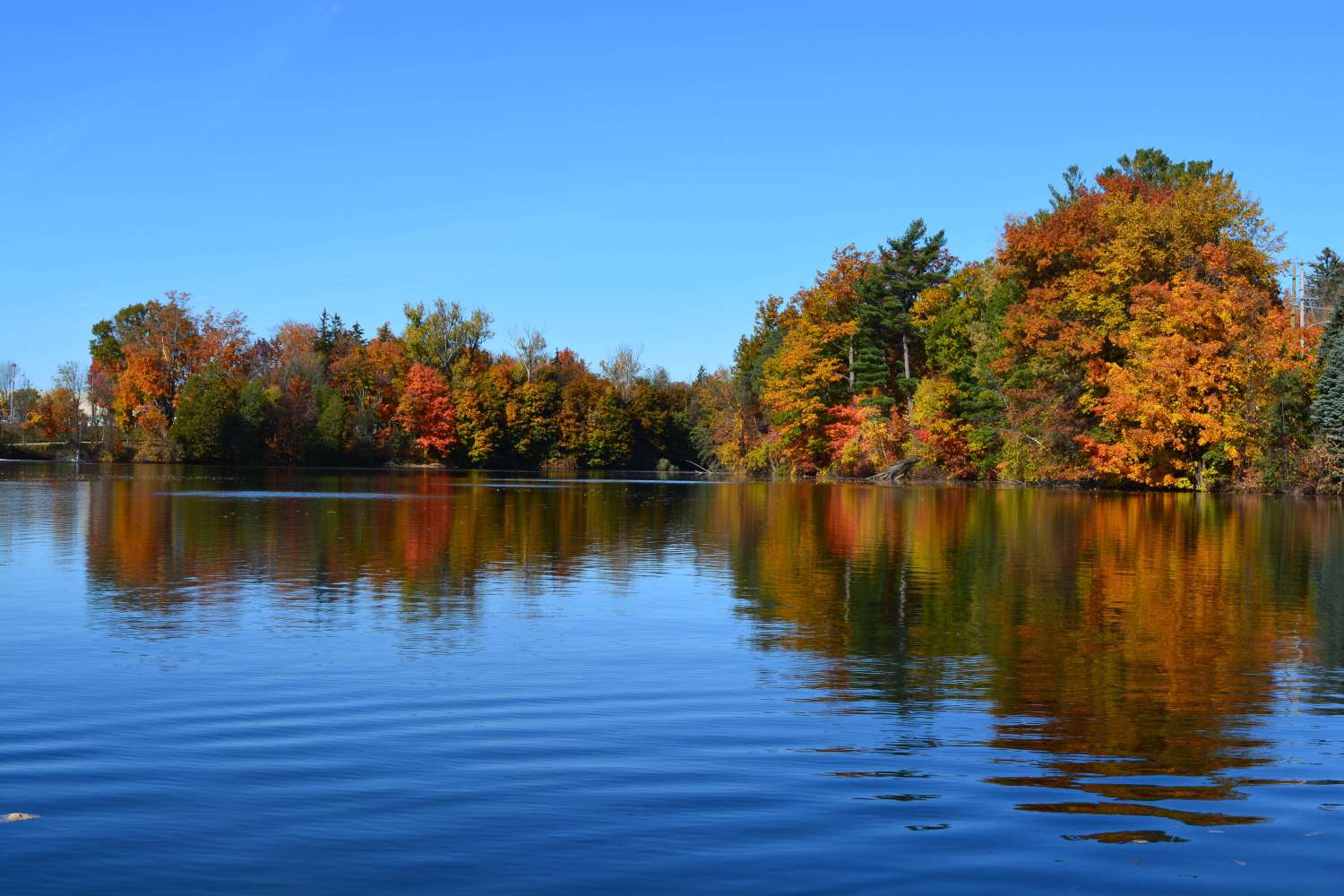 Beautiful Parks and Trails